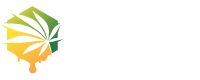 cbdxoil